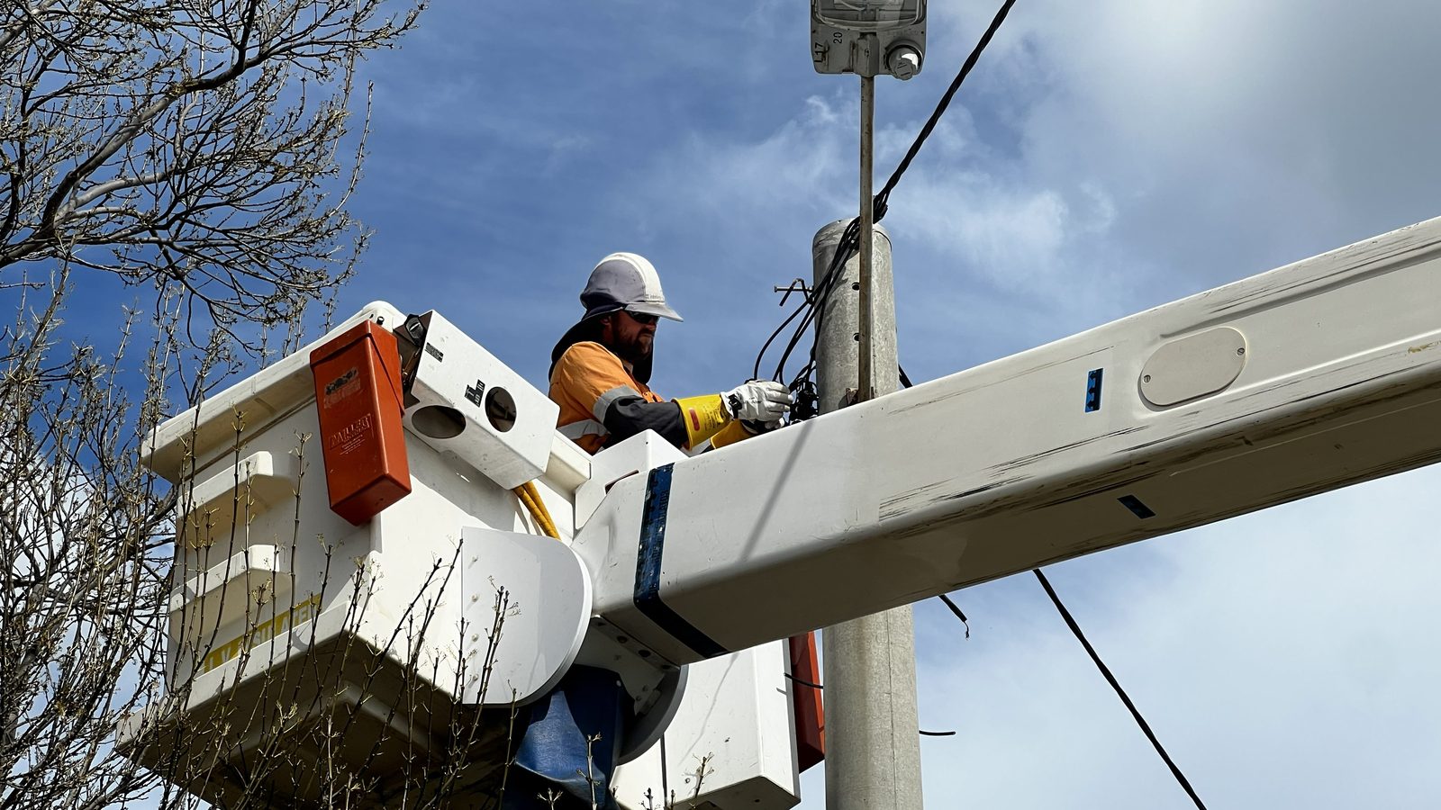 Intellergy crew at work